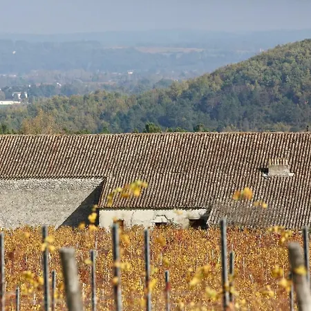 Chemin De Gargamelle 'le Noyer' * Ligueux (Gironde)